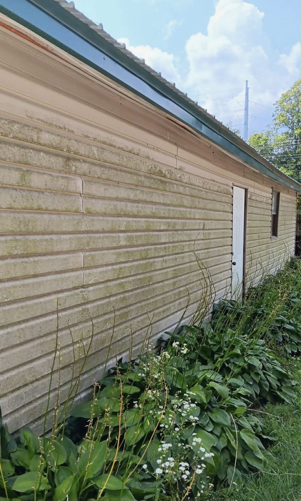 Before power washing